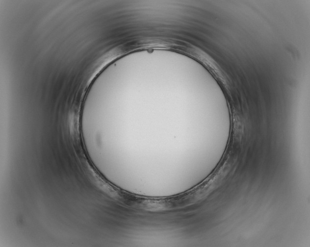 X0000112401194200909110922