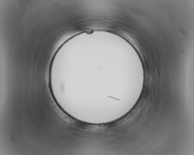 X0000112401195200909110922