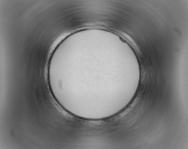 X0000112401196200909110922