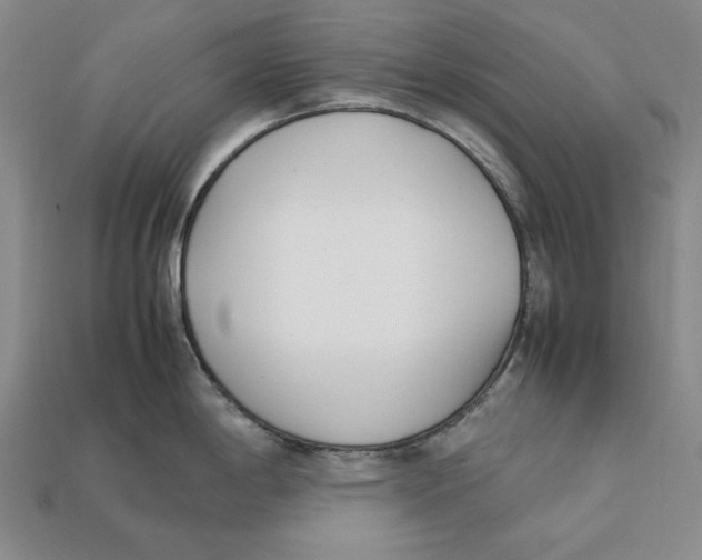 X0000112401198200909110922