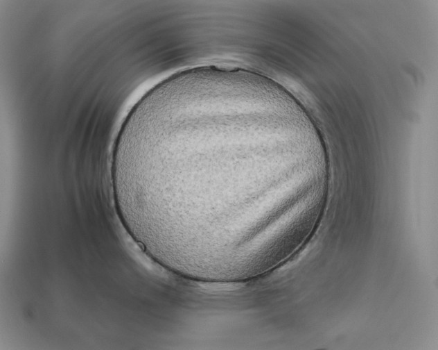 X0000112401200200909110922