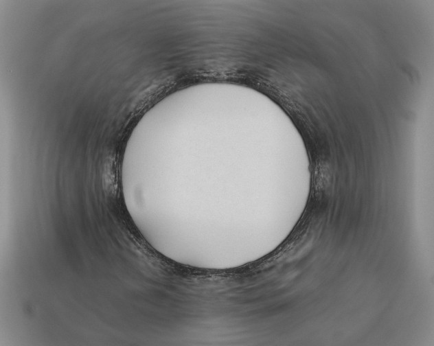 X0000112401202200909110921