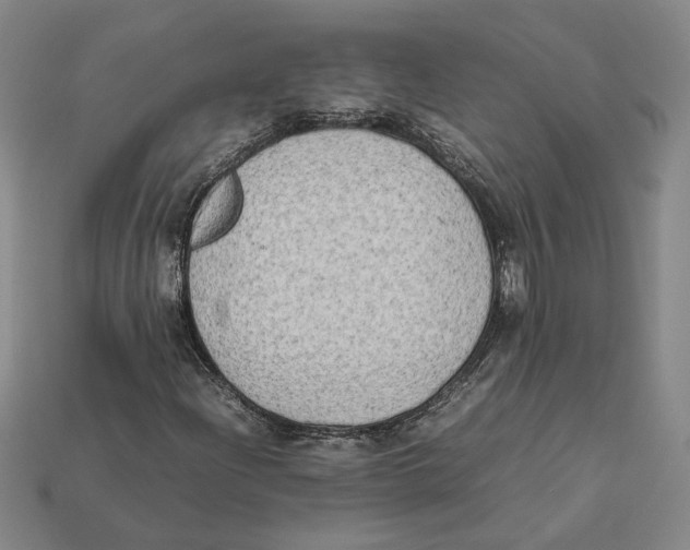 X0000112401204200909110921