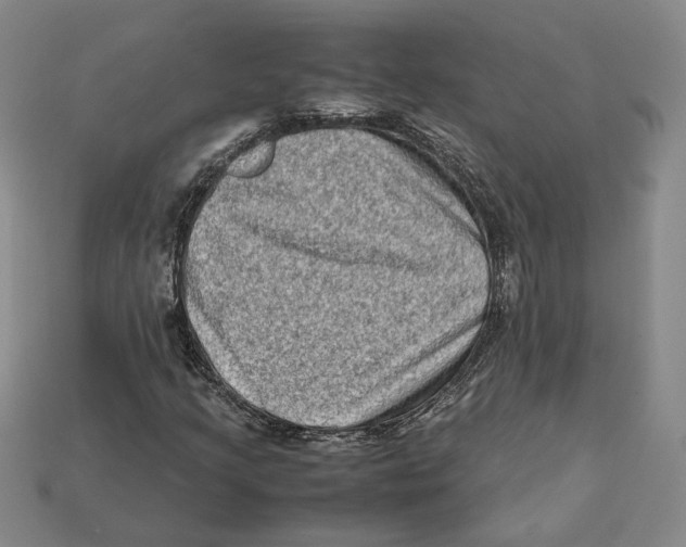 X0000112401205200909110921
