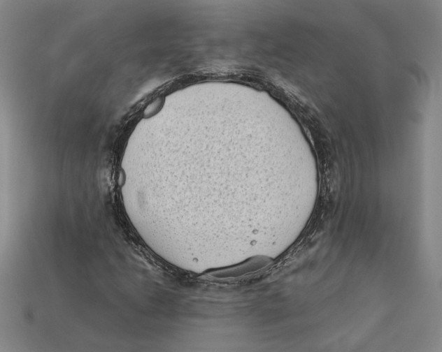 X0000112401206200909110921
