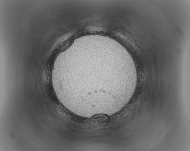 X0000112401207200909110922