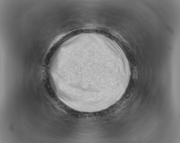 X0000112401208200909110922