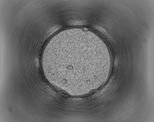 X0000112401209200909110922