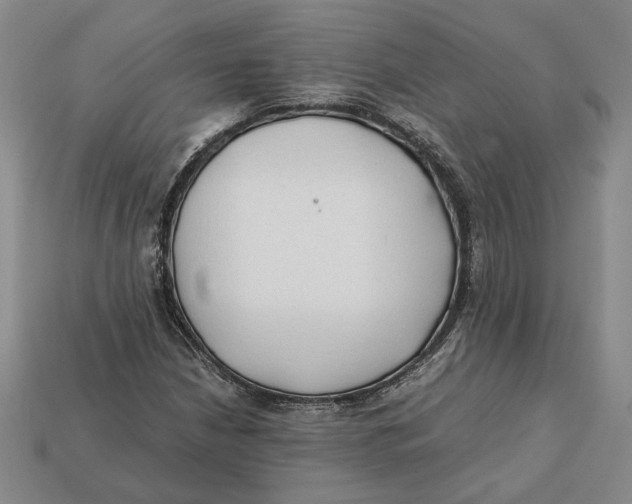 X0000112401210200909110922