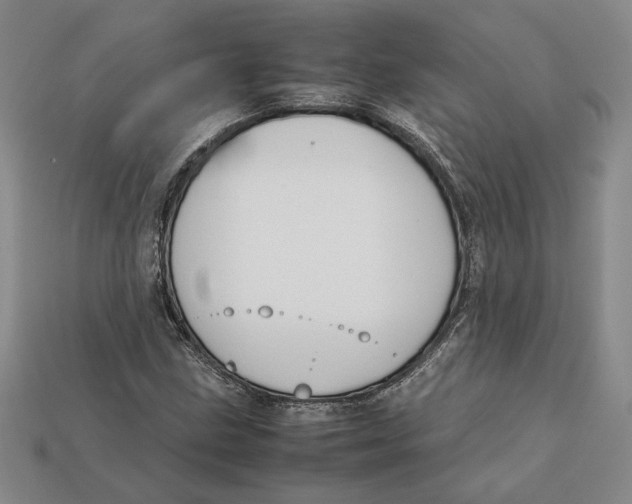 X0000112401211200909110922