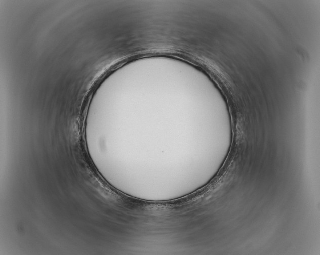 X0000112401212200909110922