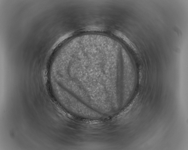 X0000112401213200909110922