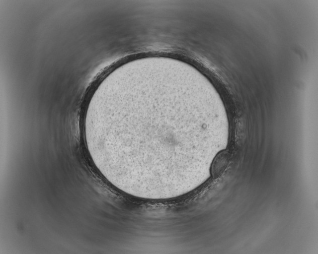 X0000112401214200909110922