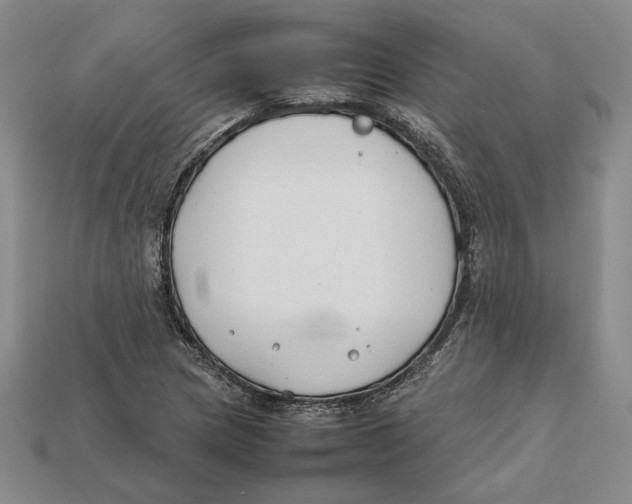 X0000112401217200909110922