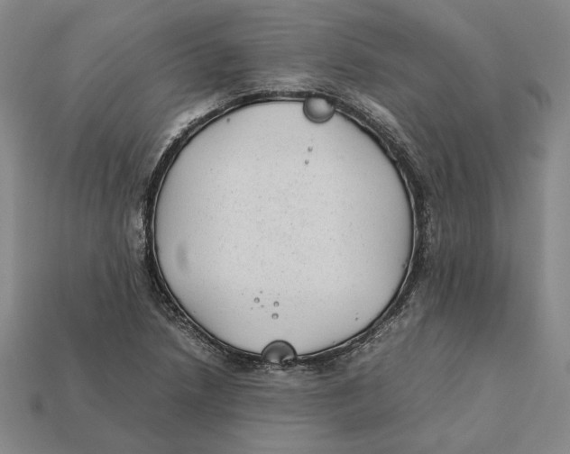 X0000112401218200909110922