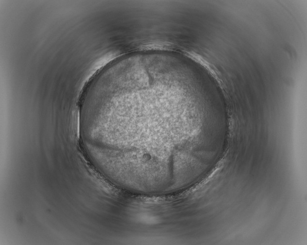 X0000112401219200909110922