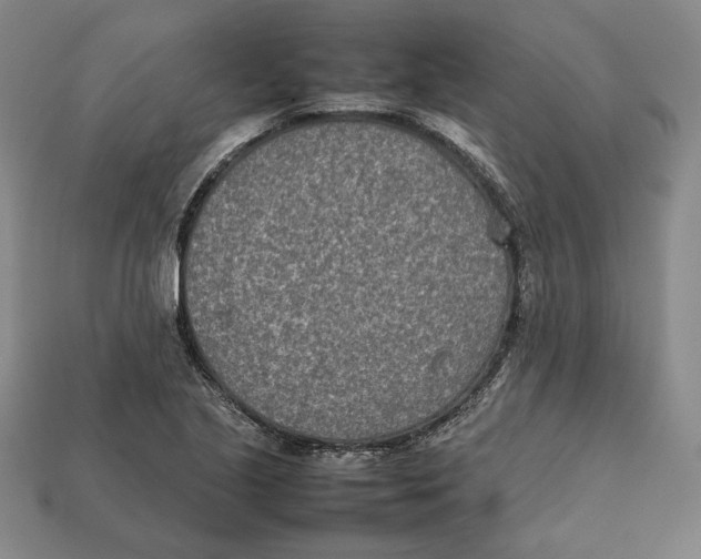X0000112401221200909110922