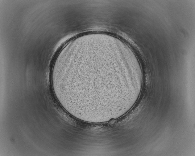 X0000112401222200909110922