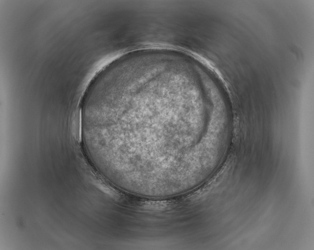 X0000112401223200909110922