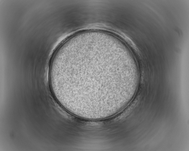 X0000112401224200909110922