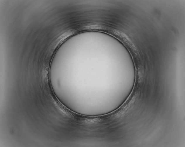 X0000112401225200909110922