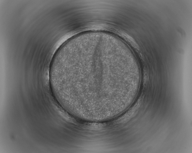 X0000112401226200909110922