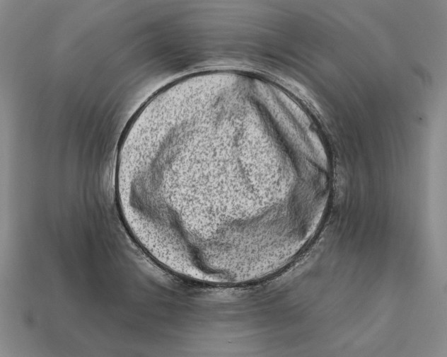 X0000112401228200909110922