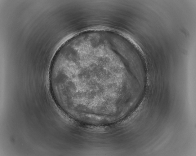 X0000112401229200909110922