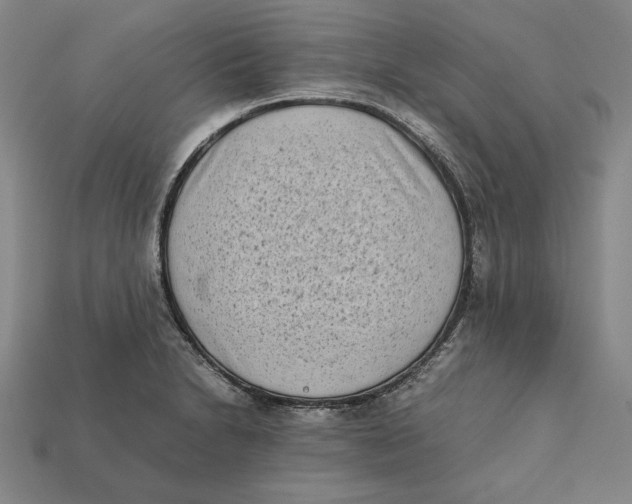 X0000112401230200909110922