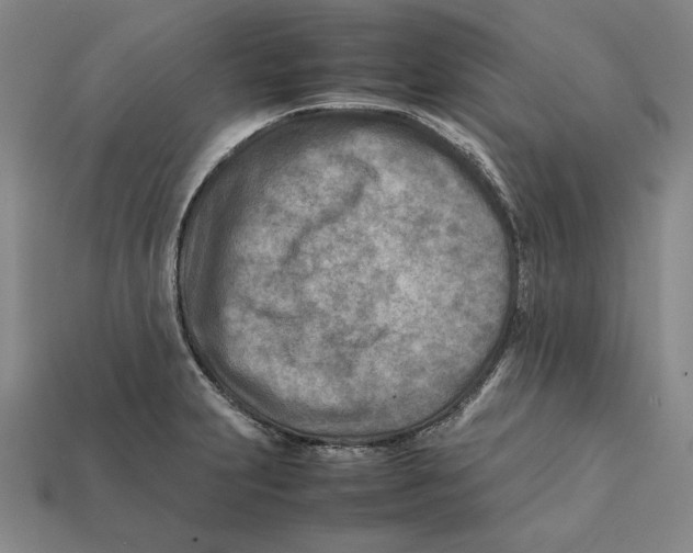 X0000112401231200909110922