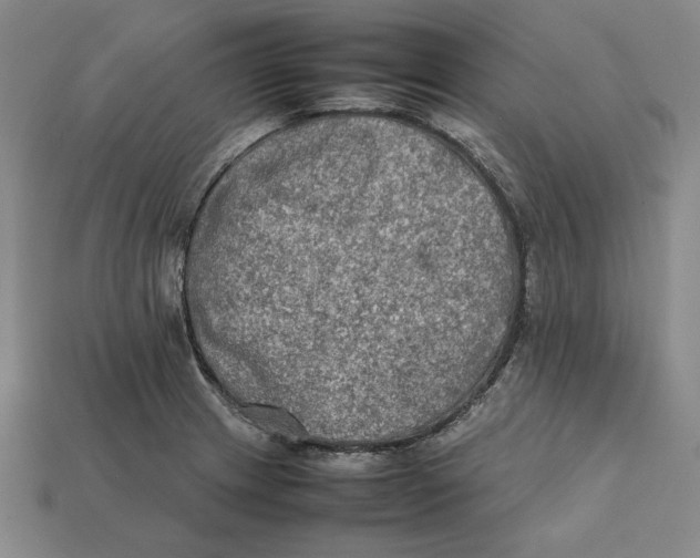 X0000112401233200909110922