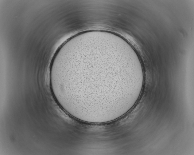 X0000112401238200909110922