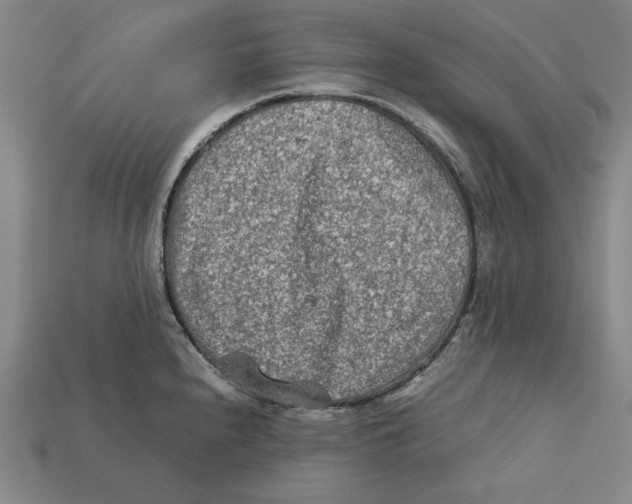 X0000112401240200909110922