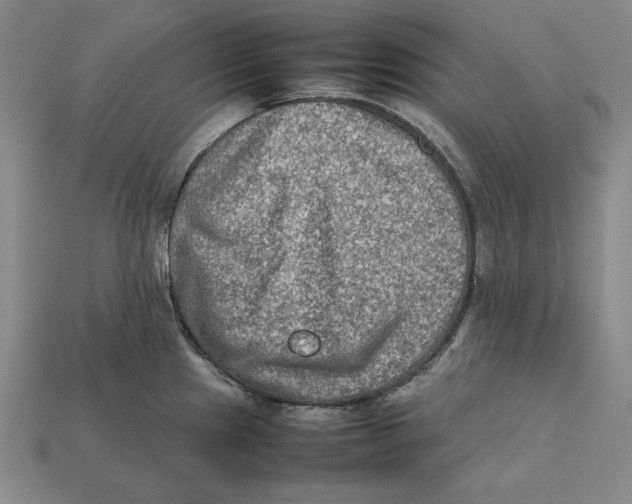 X0000112401241200909110922