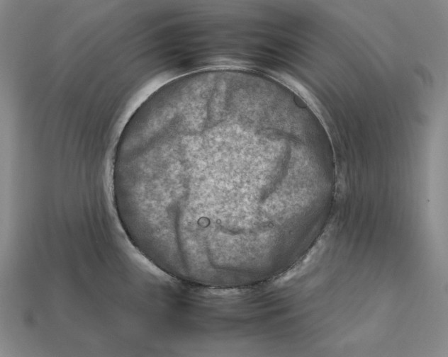 X0000112401243200909110922