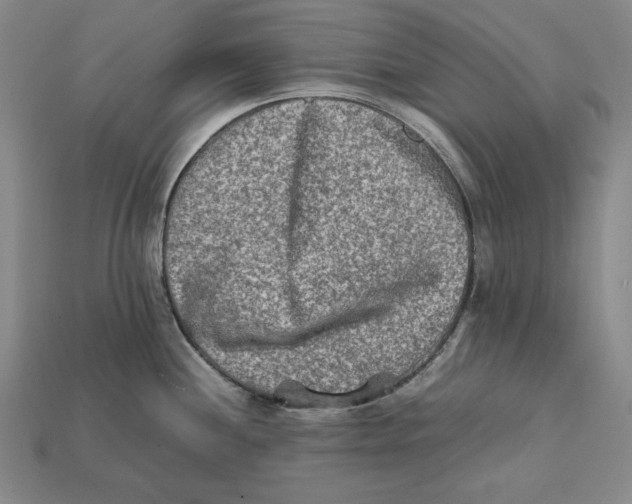 X0000112401244200909110922