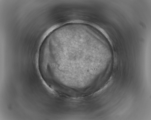 X0000112401245200909110922