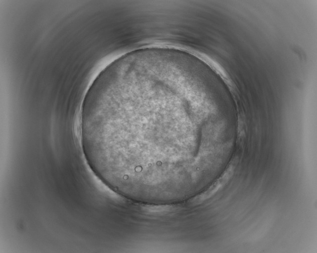 X0000112401247200909110922