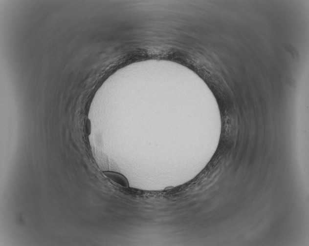 X0000112401249200909110921