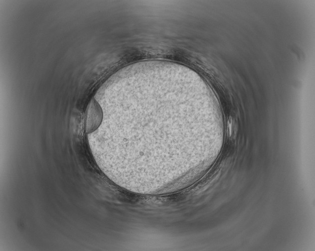 X0000112401251200909110921