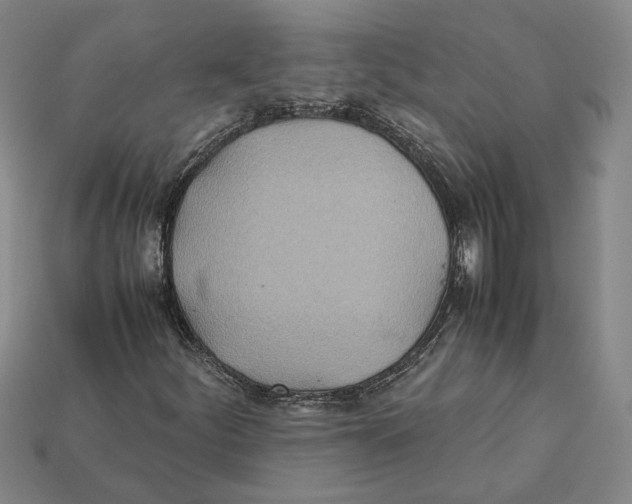 X0000112401252200909110921