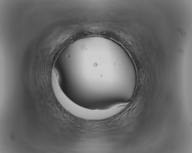 X0000112401253200909110921