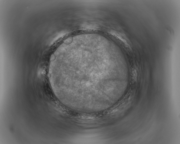 X0000112401254200909110921