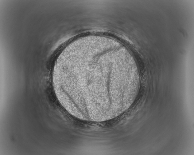 X0000112401255200909110921