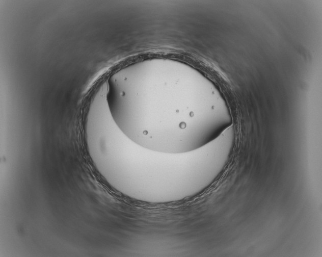 X0000112401256200909110921