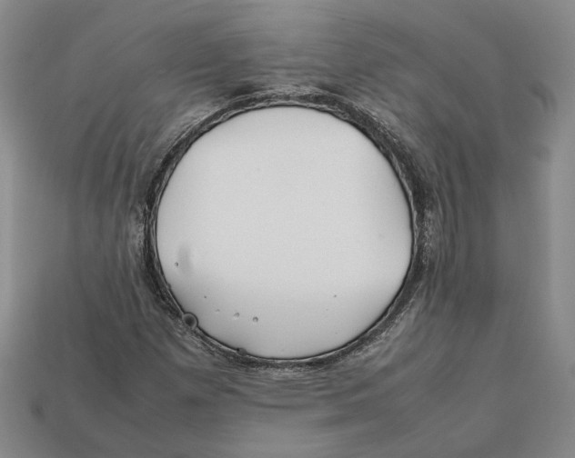 X0000112401257200909110921