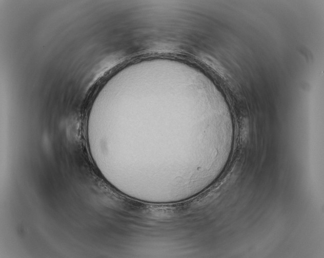 X0000112401258200909110921