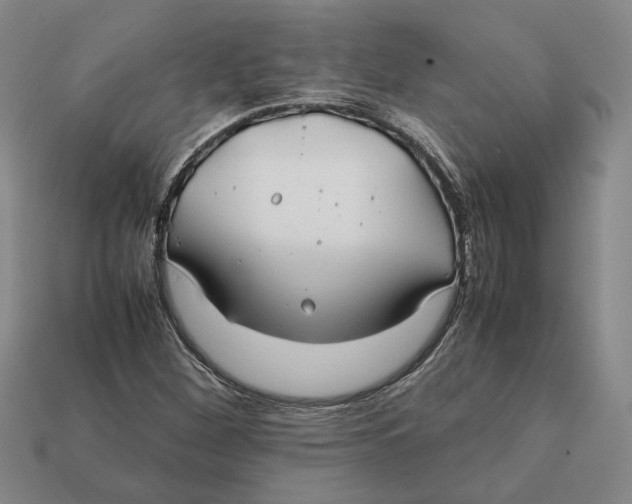 X0000112401260200909110921