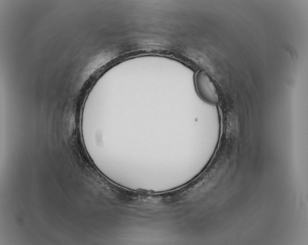 X0000112401261200909110921