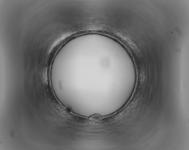 X0000112401262200909110921
